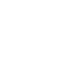 Construction Year