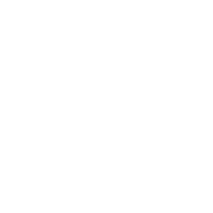 Store Count